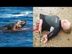shark attack footage tape horrific biggest ever boy old died